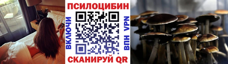 Купить Лермонтов Псилоцибиновые грибы Psilocybine cubensis